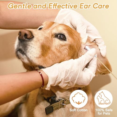 100 Pcs Large Cotton Swabs for Pet Care, 6 Inch Long Cotton Swabs with Bamboo Handle, Professional Dog Ear Swabs, Absorbency Big Cotton Tips, Pet Cleaning Solution Supplies