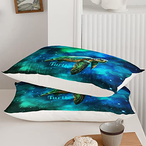 Bsntho Turtle Comforter Queen Size,Galaxy Comforter Set For Kids Teens Boys Girls,3Pcs Bedding Set Printed Comforter With 2 Pillowcases,Soft And Lightweight，Queen Size #TOP5