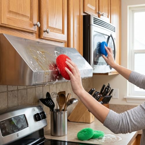 Image of Blulu 15 Pcs Plastic Dish Scrubbers for Dishes Pot Round Nylon Pad, Mesh Scouring Non Scratch Pads (Rainbow Colors)