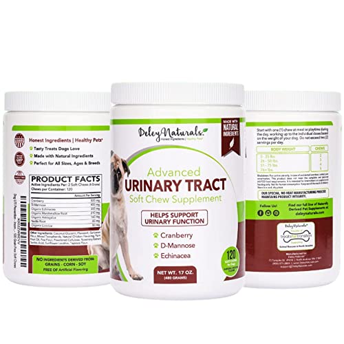 Deley Naturals Dog Uti Prevention - 120 Grain Free Soft Chews - Incontinence, Bladder, Kidney & Immune System Support - Cranberry Pills - D-Mannose & Echinacea - Made In Usa - Natural Chicken Flavor #TOP1