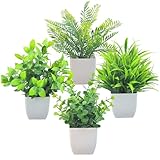 Matériau: Fabriqué en plastique de qualité, ces plantes sont construites pour durer..Ils ne se fanent pas ou ne se flétriront pas avec le temps, offrant une décoration qui est à la fois et légère.