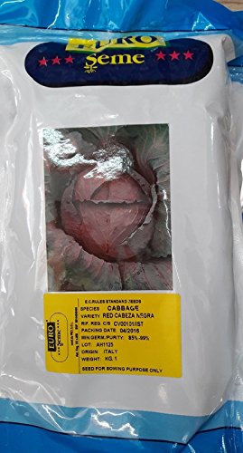 Euroseme Italy, Original Bulk Seeds Packing of Red Cabbage Imported Negra Seeds, Super Quality5 kg Seeds Pack (avg 500000+ Seeds) Pack Sold by Seedscare India
