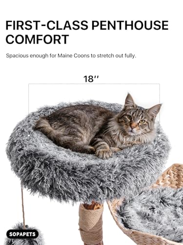 Árbol para Gatos de Madera Maciza Sopapets 41.3" Gris miniatura 4