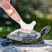 Beaupretty Turtle Shell Cleaning Brush Multi-Functional Dirt Remover Portable Mini Brush for Aquatic and Land Tortoises with Orange Handle for Turtle Tank and Shell Maintenance
