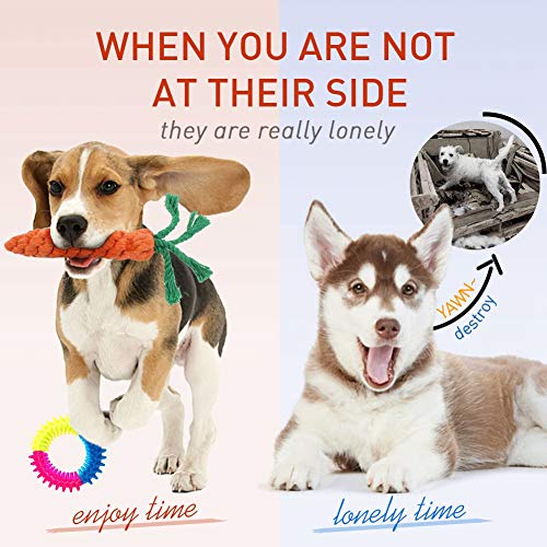 handfly 12 pcs Conjunto de Brinquedos para Cães Filhote de Cachorro de Algodão Corda de Brinquedo pa