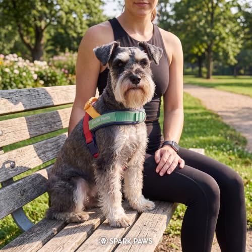 Image of Spark Paws No Pull Front Clip Dog Harness - Easy On, Padded and Lightweight
