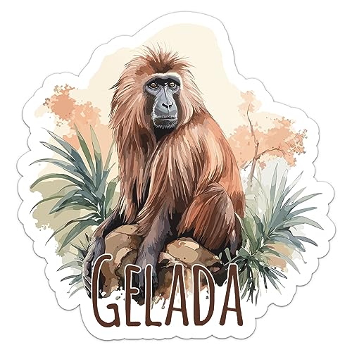 Watercolor Gelada Animal Sticker - Waterproof Vinyl Decal for Car Bumper, Laptop, Water Bottle, Wall, and Window, Size - 3'' Longer Side
