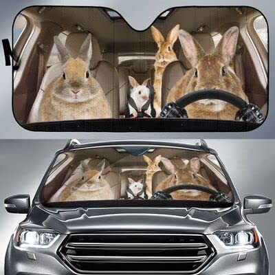 Protection pare soleil voiture universelle taille M pour stopper les rayons UV