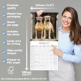Avonside Bullmastiff 2027 Kalendarz z Naklejkami Organizacyjnymi, 16-Miesięczny Kwadratowy Kalendarz Ścienny (wrz 2026 - gru 2027), Planer dla Miłośników Psów, 29,5 x 29,5 cm