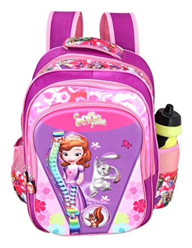 3rd standard school bag