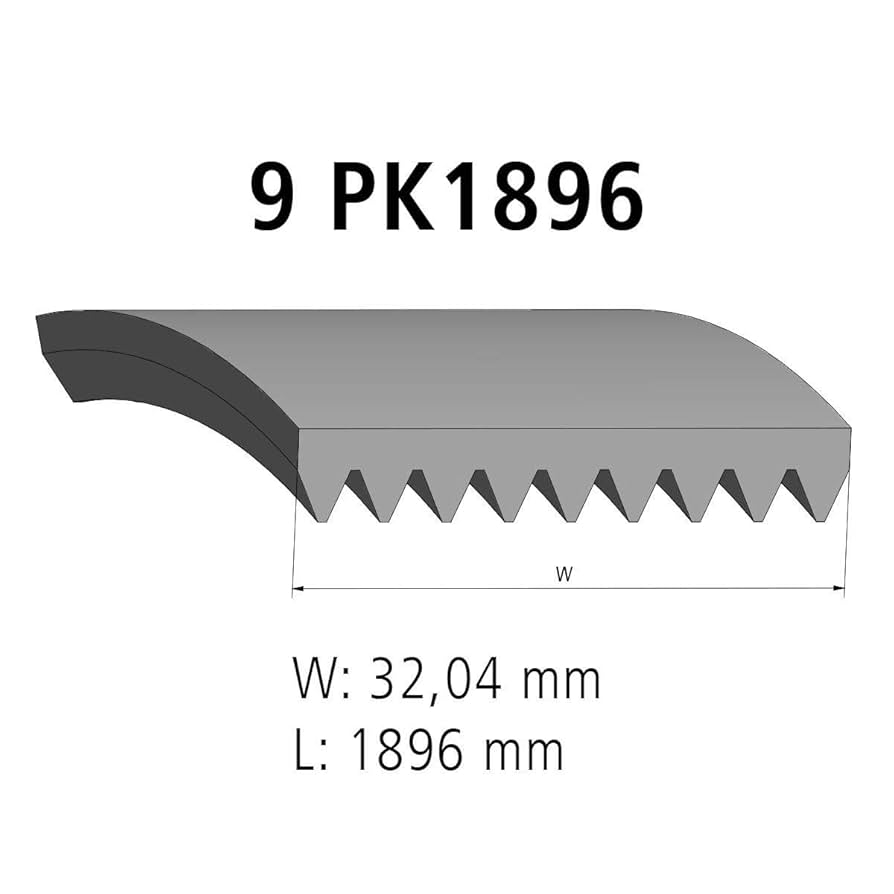 Amazon.com: DT Spare Parts V-Ribbed Belt 4.81436 9PK, Length