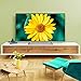 Hisense H55BE7400 - Smart TV ULED 55' 4K Ultra HD, 3 HDMI,...