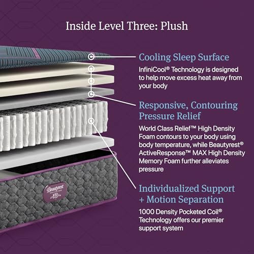 Image of Beautyrest World Class Level Three Plush 13 inch Hybrid Full Mattress