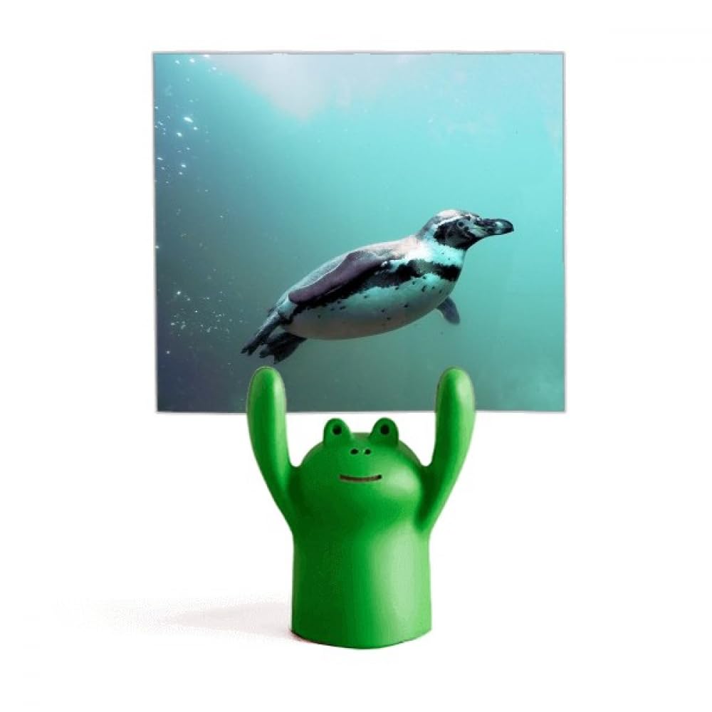Pingouin memo holder pour ne plus oublier vos notes importantes - 4