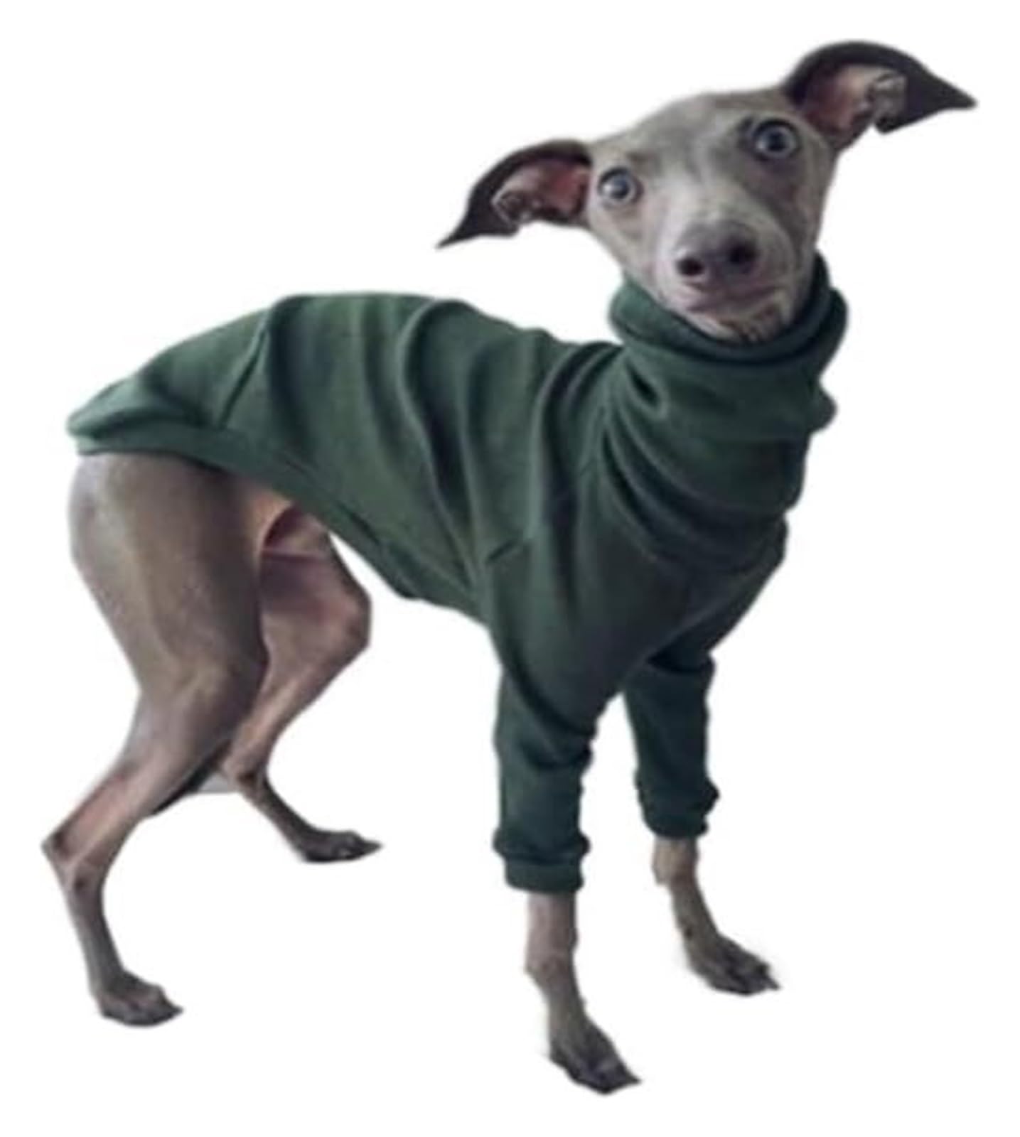 Manteau pour chien Greyhound vert 4XL - Veste col roulé extensible pour lévriers