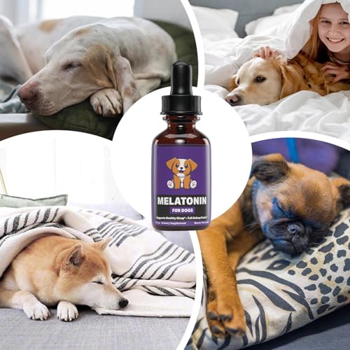 Hunde-Schlaf-unterstützung, 60ml Schlafmittel Für Hunde, Flüssiges Nahrungsergänzungsmittel Zur Unterstützung Eines Gesunden Schlafes Bei Haustieren