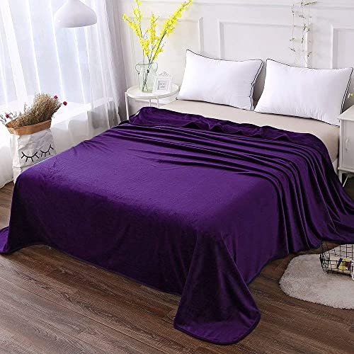 HOZY Fleece Blanket 350GSM Super Soft Fluffy Solid - No Static Throws for Large Bedspread/Sofa- Purple 220 x 240cm - Image 2