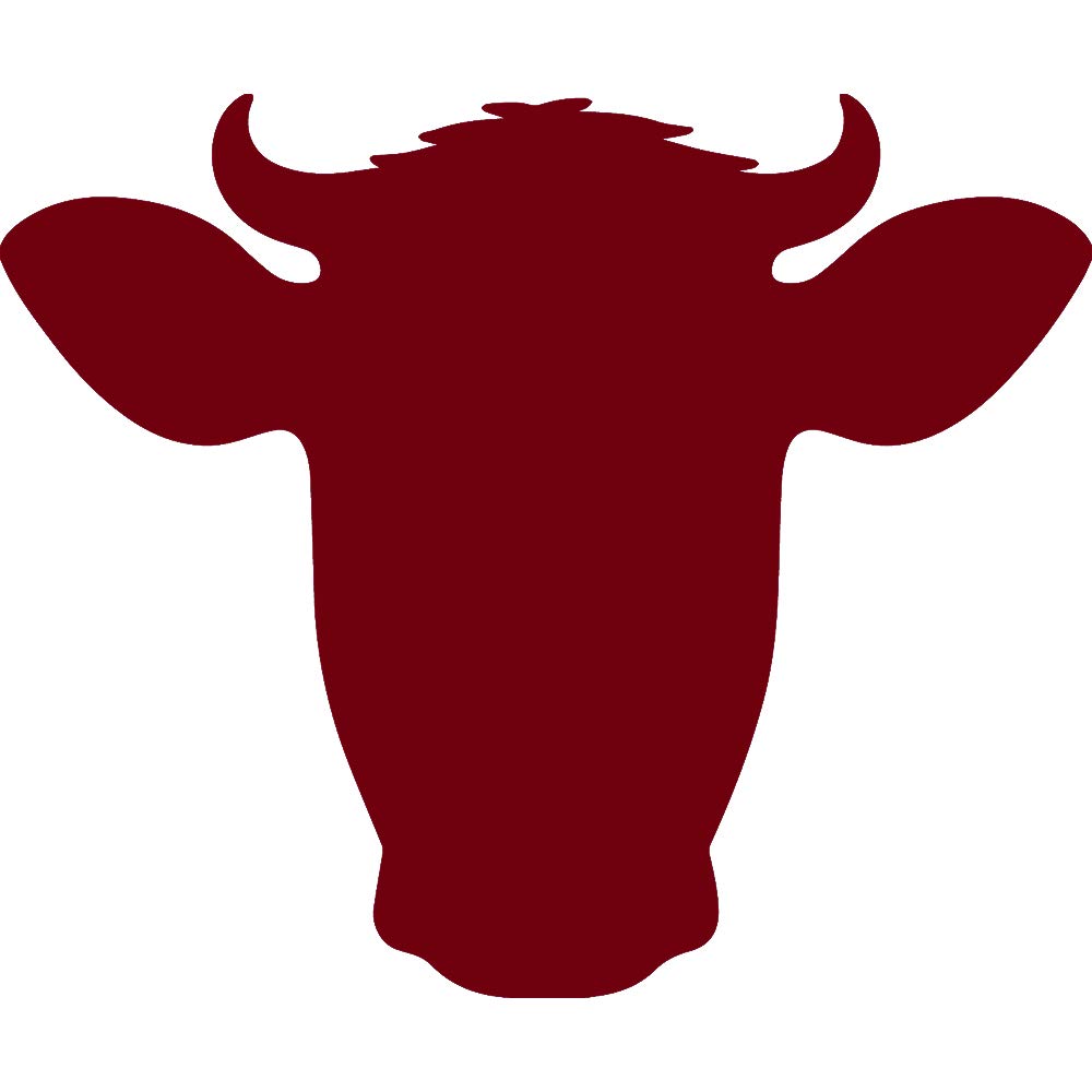 Manny's Fabric Consortium Dusty Rose 54'' W Tulle 40 Yards by The Bolt Weddings Parties Under Lining