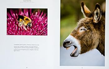 Hardcover Custer State Park: From the Mountains to the Plains Book