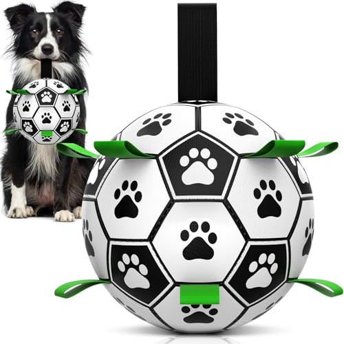 HETOO Dog Balls Dog Football Toys with Webbing Dog Toy Ball (6 Inch Medium)