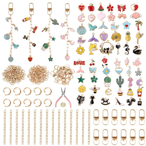 ASTNIC 189 Pièces Kit Porte Clé a Fabriquer Porte Clef, avec 60 Charms, Porte Cle, Chaine Acier Inoxydable, Pince Bijoux, Loisirs Créatifs Adultes, Porte...