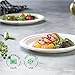 100% Compostable Paper Plates 9 Inch [500 Count] Heavy-Duty Dinner Plates - White Bagasse - Eco-Friendly Disposable Biodegradable Sugarcane Plates - [Bulk Case 4 x 125 Pack] - (BPI Certified) 4