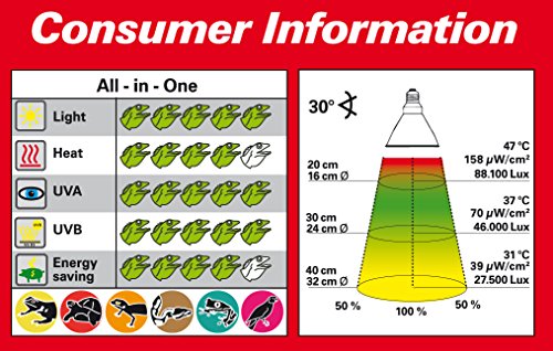 Lucky Reptile Bright Sun Set DL Jungle - 35 W Metalldampflampe inklusive Einbauleuchte & Vorschaltgerät - Reptilien Lampe mit Tageslichtspektrum - Terrarium Zubehör - UV-Set in schwarz