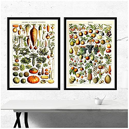 BINGJIACAI Vintage Légumes Fruits Champignon Affiche Toile Impression Antique Wall Art Botanique Éducation Photo Flore Tableau Cuisine Maison Déco-40x60cmx2 sans Cadre