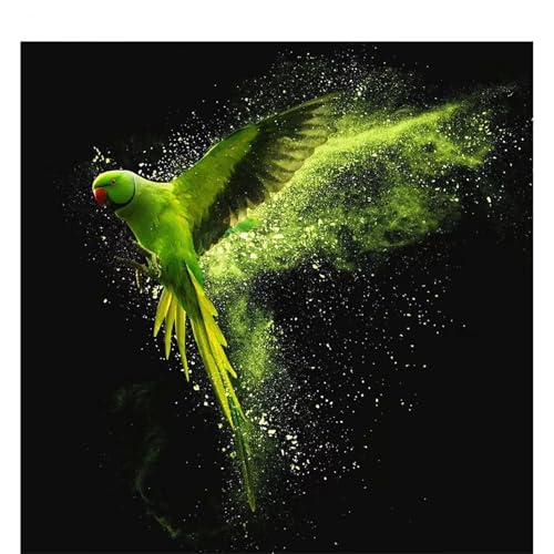 Diamond painting oiseau perroquet strass cristal de qualité supérieure