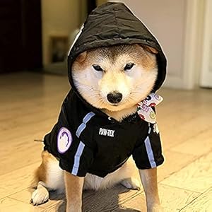 “The Puppy Fans”Waterproof Dog Jacket for Small Medium Dog Puppy Raincoat with Hoodie Dog Winter Coat Windbreaker (Flag Black, 2XL)