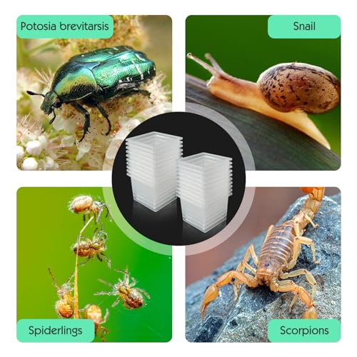 Vcepjh HX036 20 Pcs Tarantula Sling Enclosure thumb #6