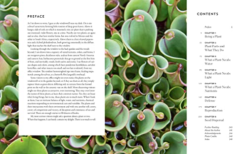 A Gardener's Guide to Botany: The biology behind the plants you love, how they grow, and what they need - Image 2