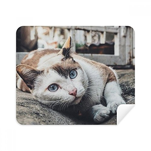 Chiffon de nettoyage en tissu suède de haute qualité avec imprimé artistique félin