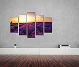 Zoom IMG-2 bestforhome gmbh fotografia paesaggistica campi Zoom IMG-2 bestforhome gmbh fotografia paesaggistica campi