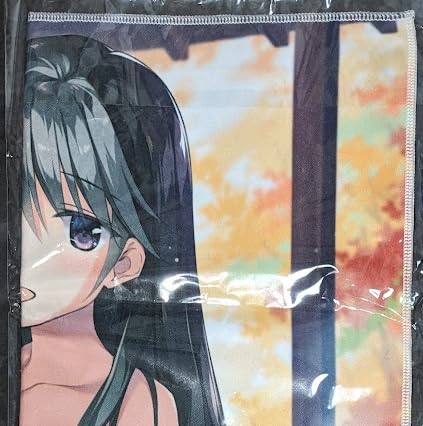ドラゴンクライシス! とらのあな 全巻特典 描き下ろし マイクロファイバータオル Amazon.co.jp: おりょう とらのあな イラスト展 マイクロファイバー
