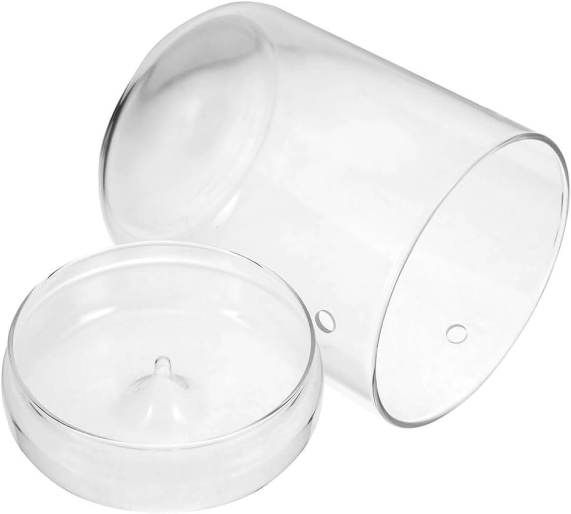 HEALLILY Plant Terrarium Bottle for Creative Desktop Eco Moss Planter Holder for Office and Home Decoration Landscape Display