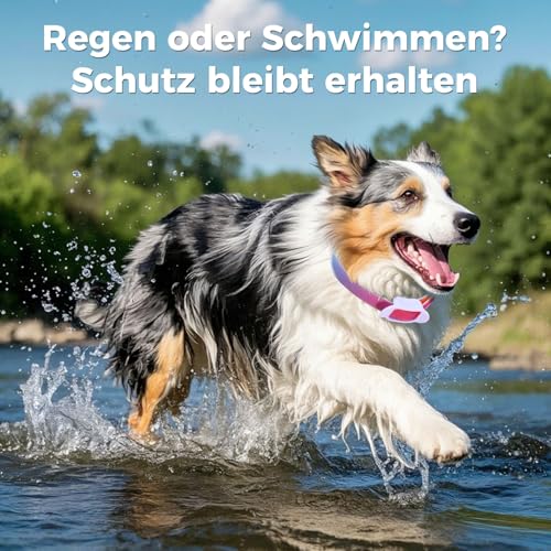 Zeckenhalsband für Hunde 69cm, Wasserdicht & Verstellbar Zeckenschutz Hund Verhindert Leishmaniose-Übertragung, 8 Monate Schutz Bunt