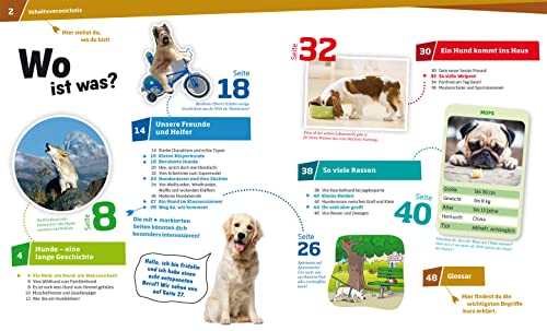 WAS IST WAS Band 11 Hunde. Helden auf vier Pfoten (WAS IST WAS Sachbuch, Band 11)