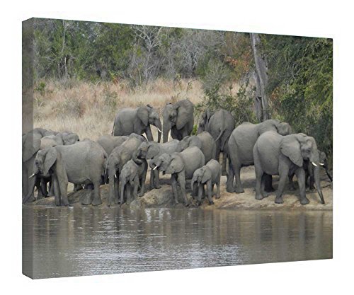 Gathering of The Clan impression toile tendue avec cadre bois, tableau mural salon 40,6x50,8