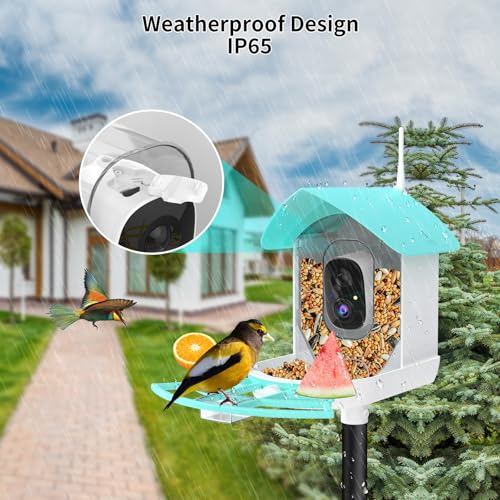 Image of Bird Feeder with Camera, Auto Capture Wiress Bird Feeder Camera, AI Identify Bird Breed,FHD Waterproof Outdoor Bird Watching Camera,Solar-Powered, for Garden,Yard,Park,Ideal Gift for Mom and Dad,Blue