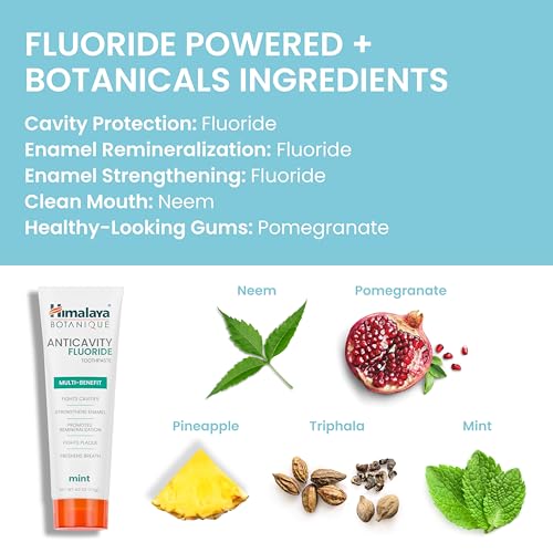Image of Himalaya Botanique Anticavity Fluoride Toothpaste, Fluoride with Multi-Benefit Support, Fights Cavities, Strengthens Enamel, Promotes Remineralization, Mint Flavor, 4 oz. | Fluoride Toothpaste, Multi-Benefit Support, Fights Cavities, Remineralizes & Strengthens Enamel, No SLS or Titanium Dioxide