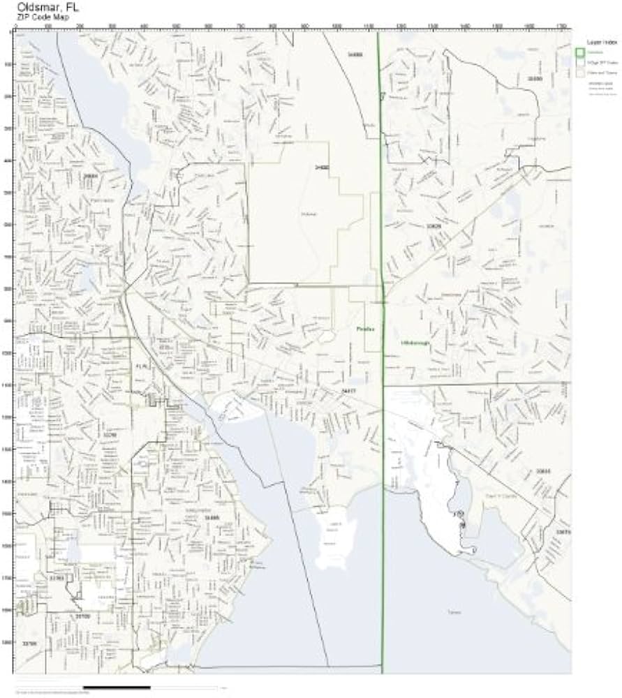 Oldsmar Fl Zip Code Map Dorisa Josephina