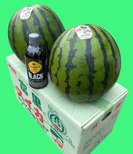３玉・神奈川県・神楽☆・ピノガール Amazon.co.jp: ピノガール 羅皇 こだま 西瓜 スイカ 種 タネ