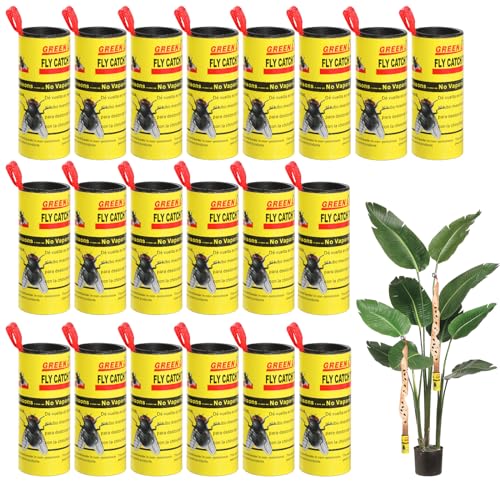 Joogee 20 Stück Fliegenfänger-Klebeband, selbstklebendes Fliegenklebeband, Fliegenfänger-Fliegentötungspapier für Mücken und andere Fliegende Insekten