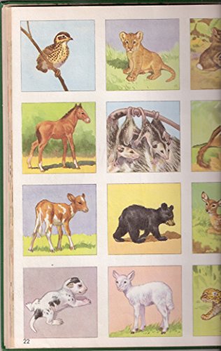 All around us (Basic studies in science) B0007FZI3M Book Cover