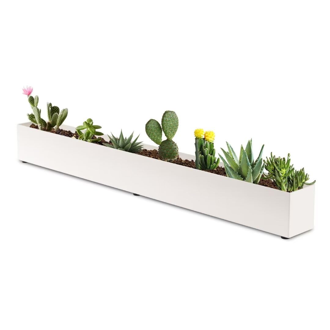 Amazon.com: GZGNEEVL Window Sill Planter Box Trough Rectangle Planter Long  Window Planters Modern Galvanized Steel Succulent Planter White 32 in Metal  Windowsill Pot for Indoor Plants Herb Table Home Outdoor : Patio,