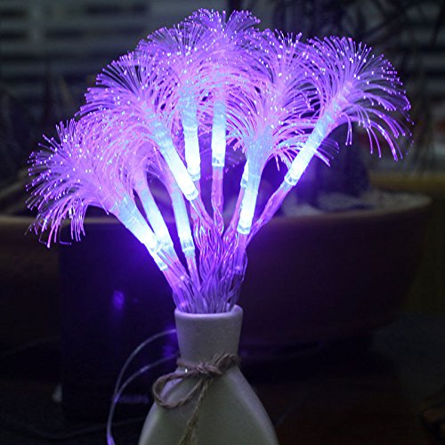 Luz de noche, luces de jardín, luces de Navidad, 2,5 m, 10 LED, fibra óptica, colorida, lámpara de gloria matutina, iluminación navideña