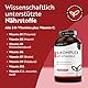 Vitamin B Komplex Hochdosiert mit Vitamin C, 365 B Komplex Vegane Tabletten mit alle 8 B-Vitaminen, Vitamin B12 hochdosiert + B1-B2-B3-B5-B6 Biotin Reduziert Müdigkeit & Erschöpfung (EFSA) - Nutravita
