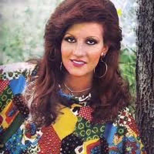 Page de couverture de گفتگو با نسرین، ستاره پاپ دهه پنجاه