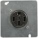 Midwest PR54U 50 Amp Angle Plug